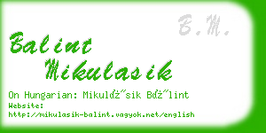 balint mikulasik business card